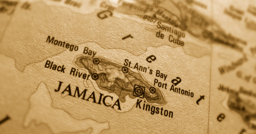 Young woman using wheelchair and reading – education accessibility.